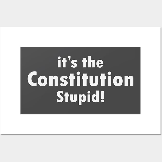 It's The Constitution Stupid Wall Art by storyofluke